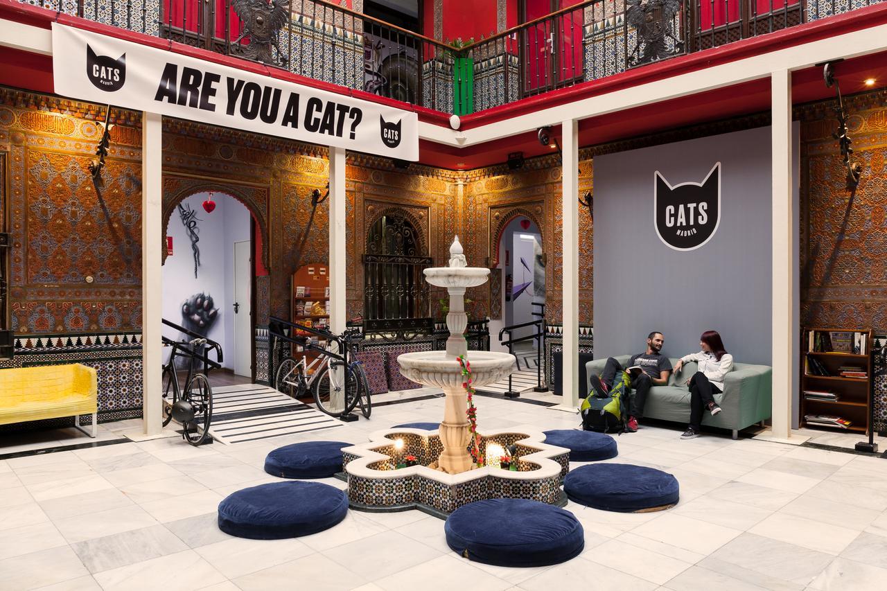 Cats Hostel Madrid Sol Dış mekan fotoğraf